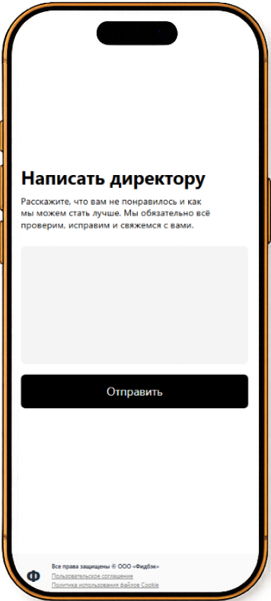 Экран приватной формы «Написать директору»