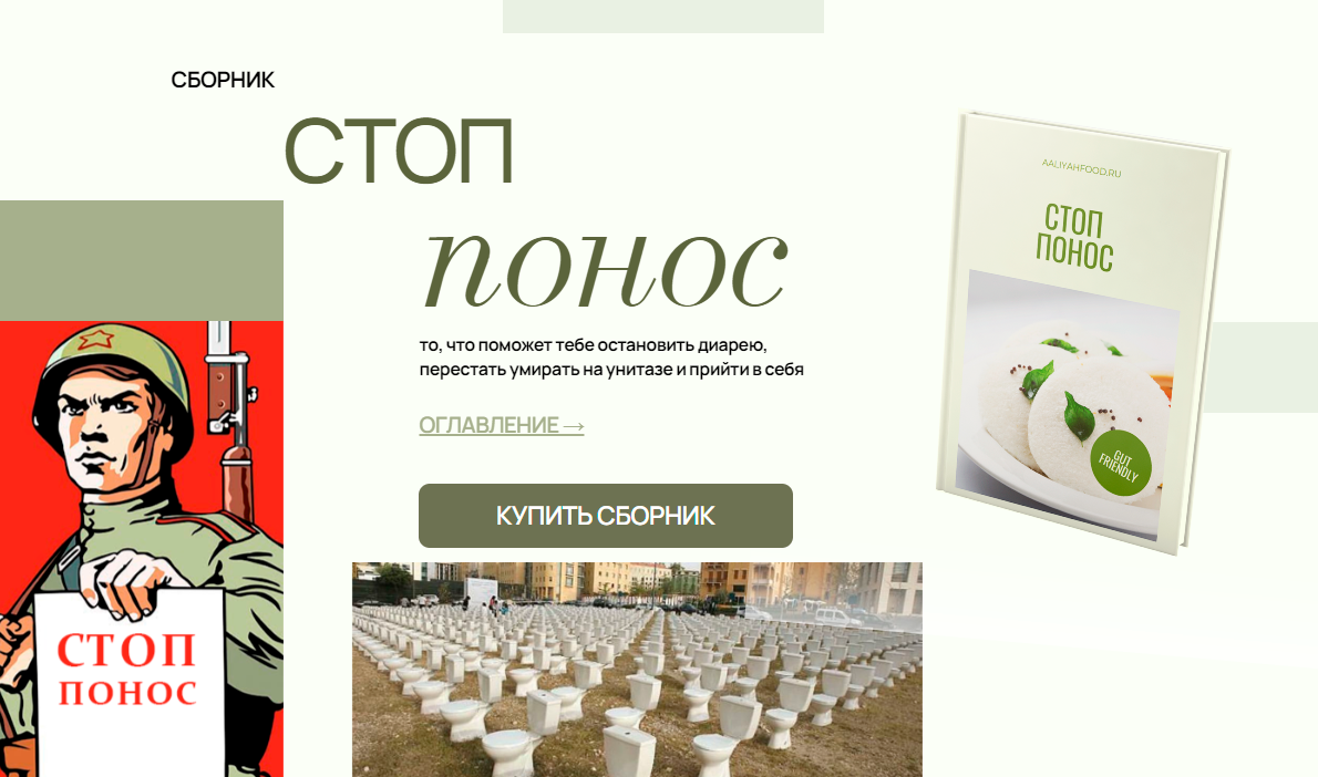 aaliyahfood.ru