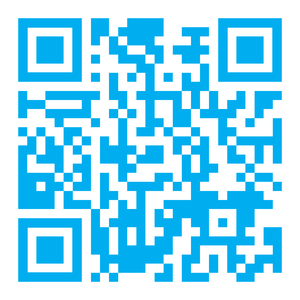 website icon