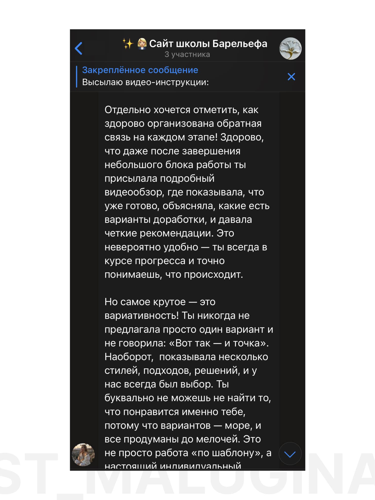 Отзыв о Дарье Малугиной разработка сайта для Школы барельефа и скал Анжелики Короткевич
