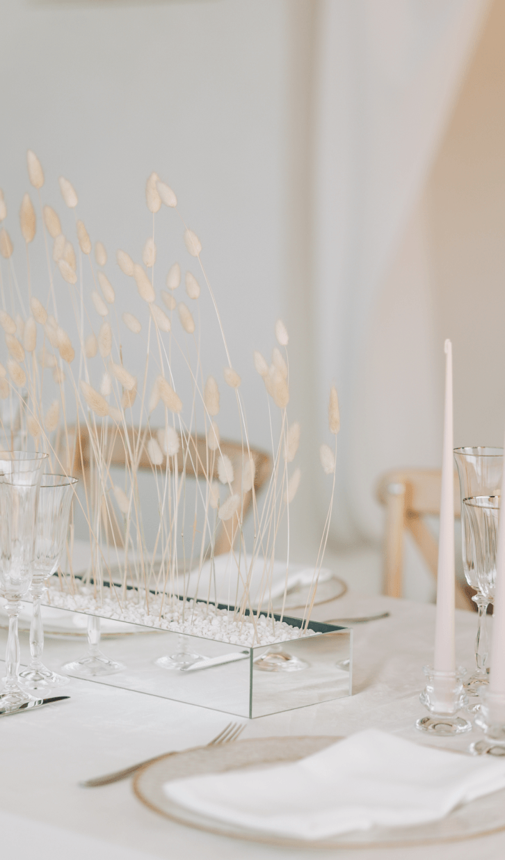 Neponaroshky-wedding-svadba-krym