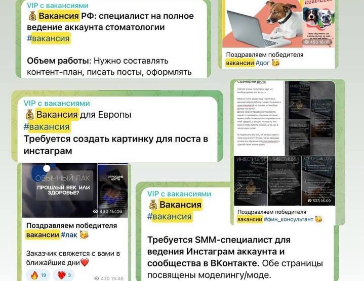 Чаты вакансий на курсе