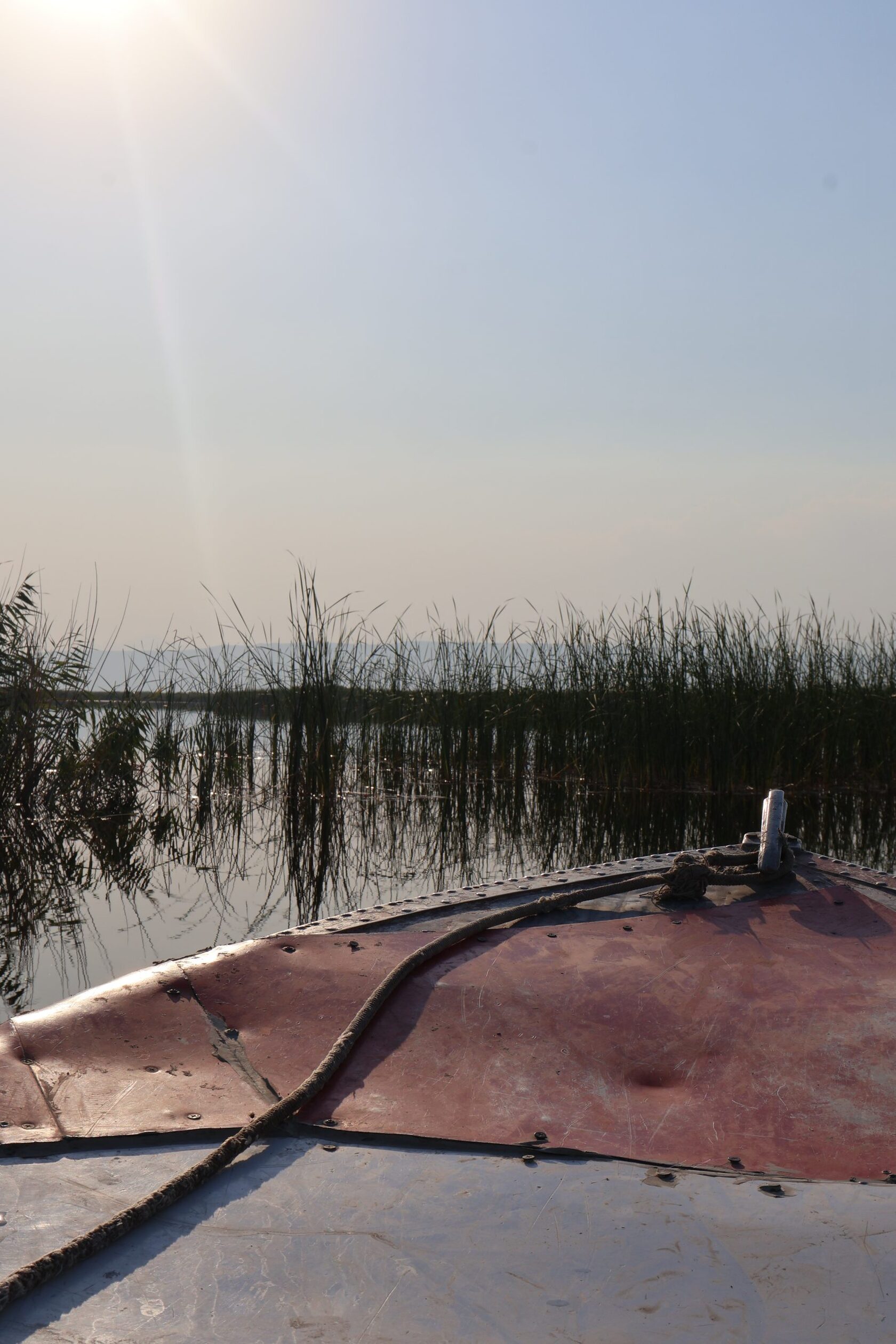Sariqamish Master Plan: Ecotourism Development in Uzbekistan