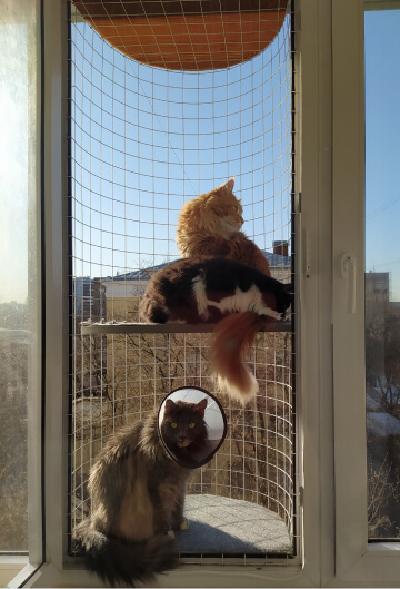 Балкон кошек «Васька» с центральной полкой