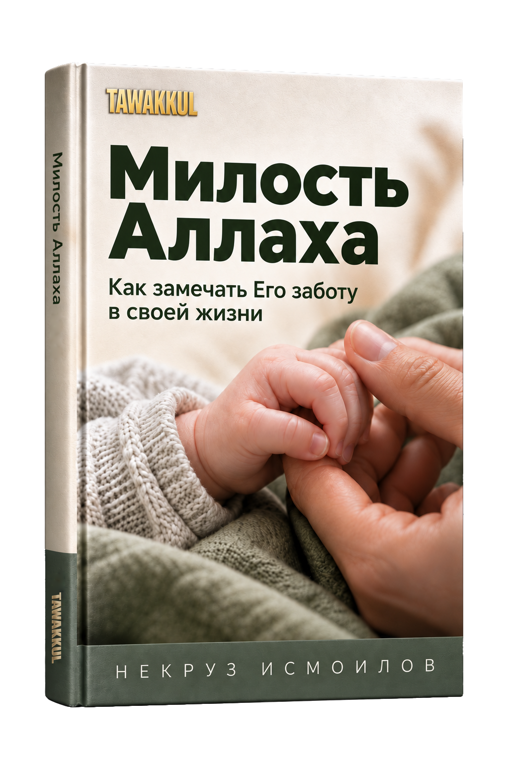Милость Аллаха. Обложка книги