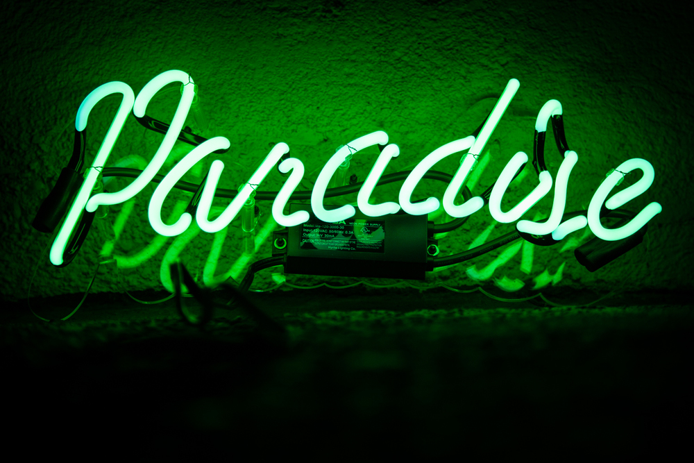 Neon green aesthetic wallpaper, paradise