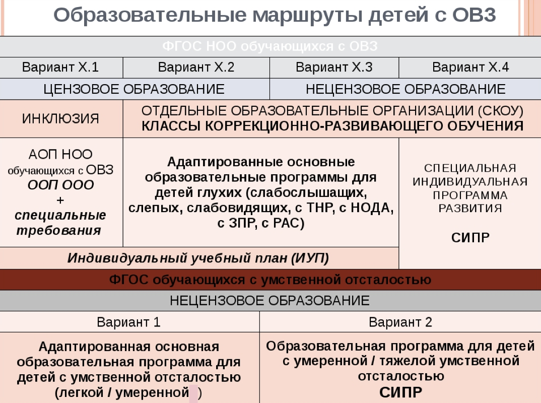 Аооп ооо зпр 5 9 классы. Программы обучения для детей с ОВЗ. Варианты программ обучения детей с ОВЗ. Варианты образовательных программ. Программы образования для детей с ОВЗ.