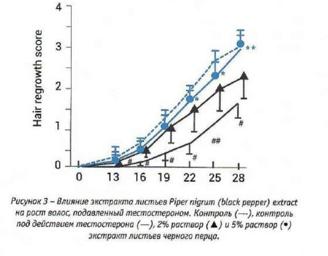 Влияние экстракта Piper nigrum на рост волос