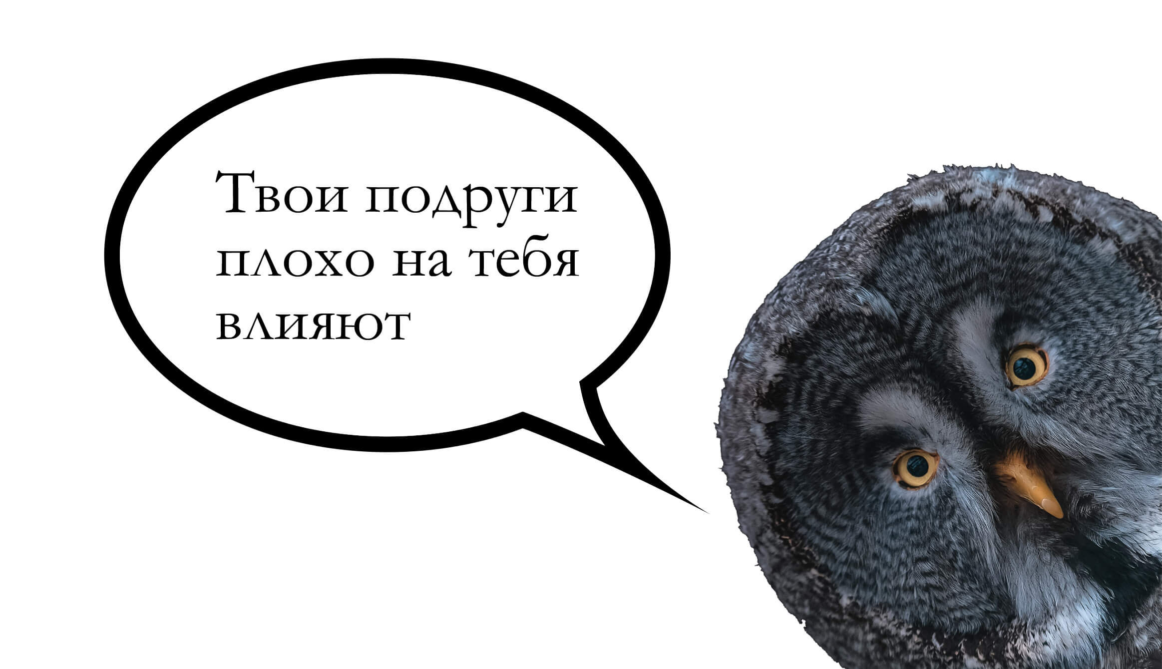 Абьюзер — кто это простыми словами? Что такое абьюз — значение слова?  Признаки абьюзера Птич.ру