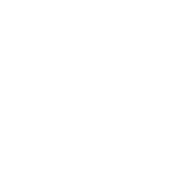 Портретная экспертиза