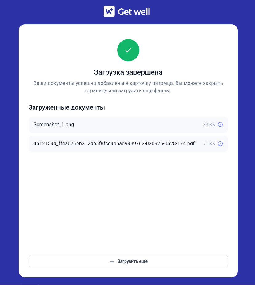Результат загрузки файлов
