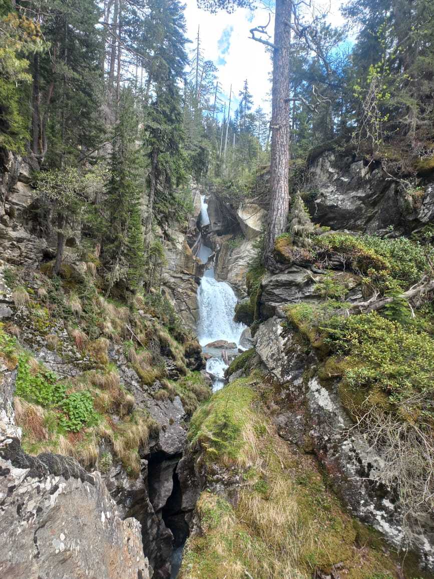 Небольшой водопад в лесу
