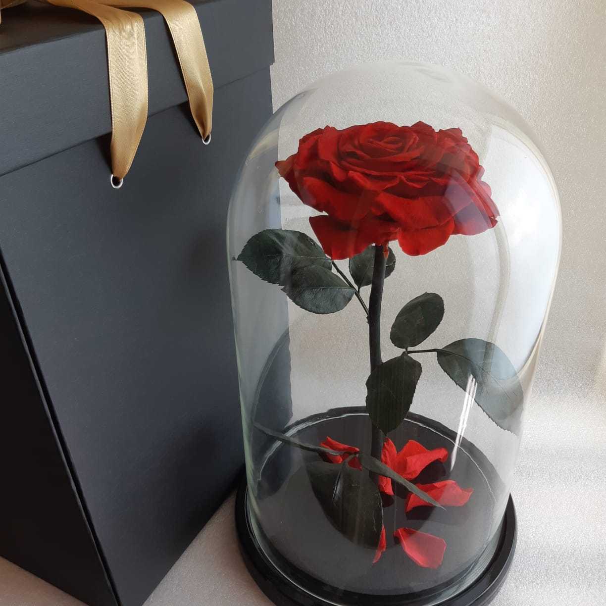 Роза в колбе в Москве - купить с доставкой вечную розу от 2600 рублей