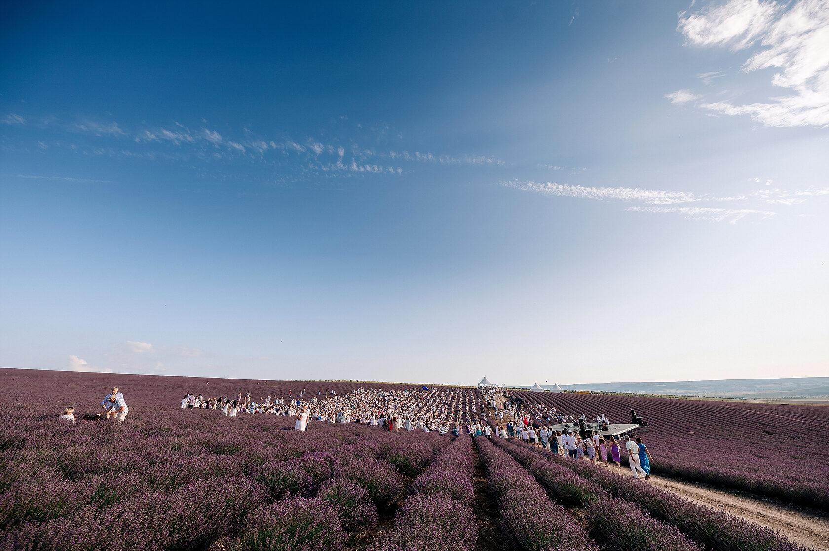 Festival nature 4. Тургеневка Крым. Концерты в лавандовых полях в Крыму. Фестиваль на природе. Фестиваль природа в моде 2 июня Москва.