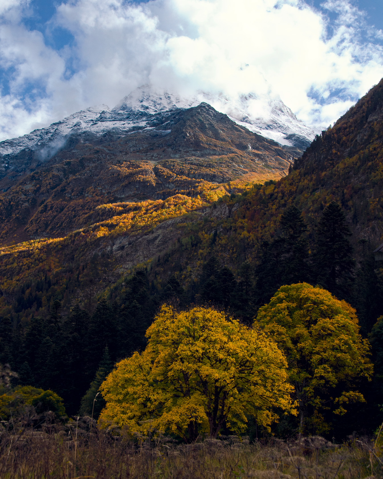 Гора Белалакая. Осень в горном лесу, на пиках вершин лежит снег. Склон горы Белалакая. Золотая осень в горах. Фотограф Севальнев Ян.