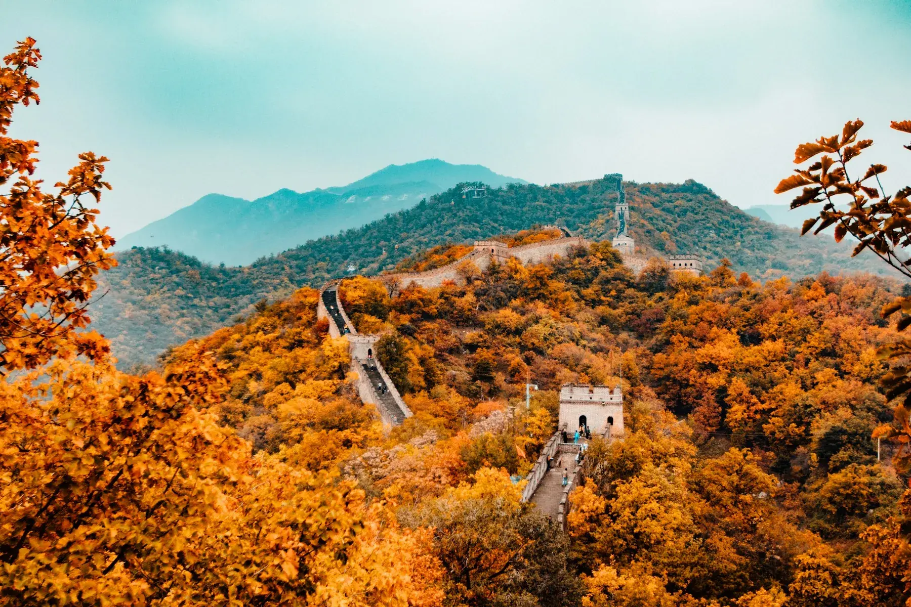 Великая стена среди осенних деревьев