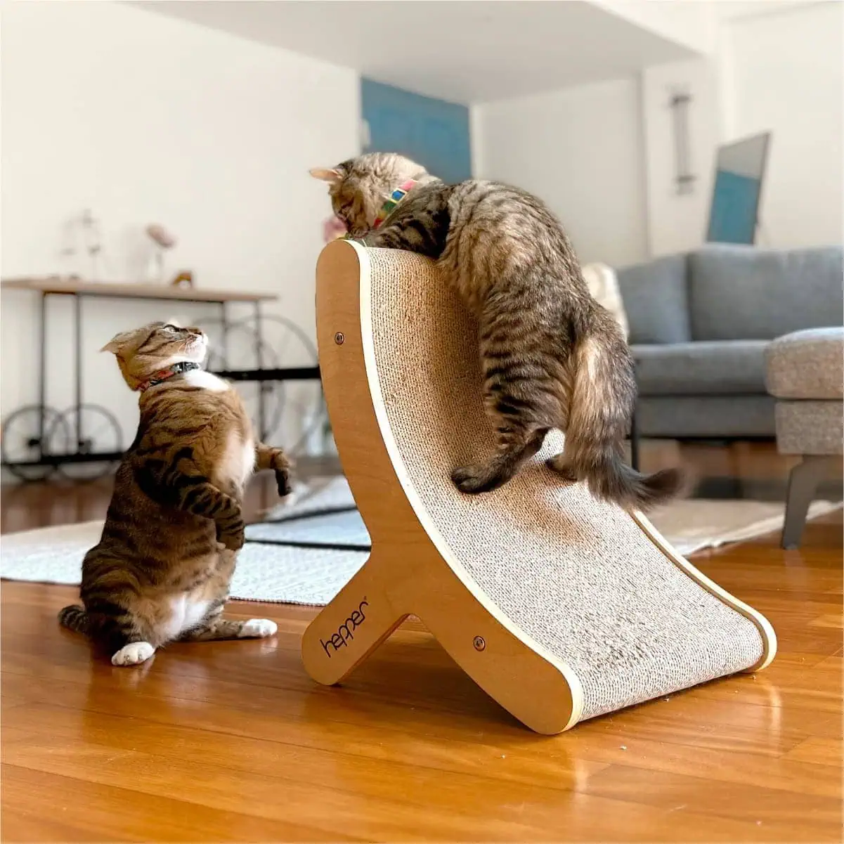 Hepper Hi-Lo Cat Scratcher