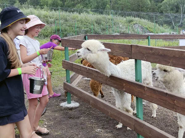 Семейный лагерь - поход на лохматую ферму