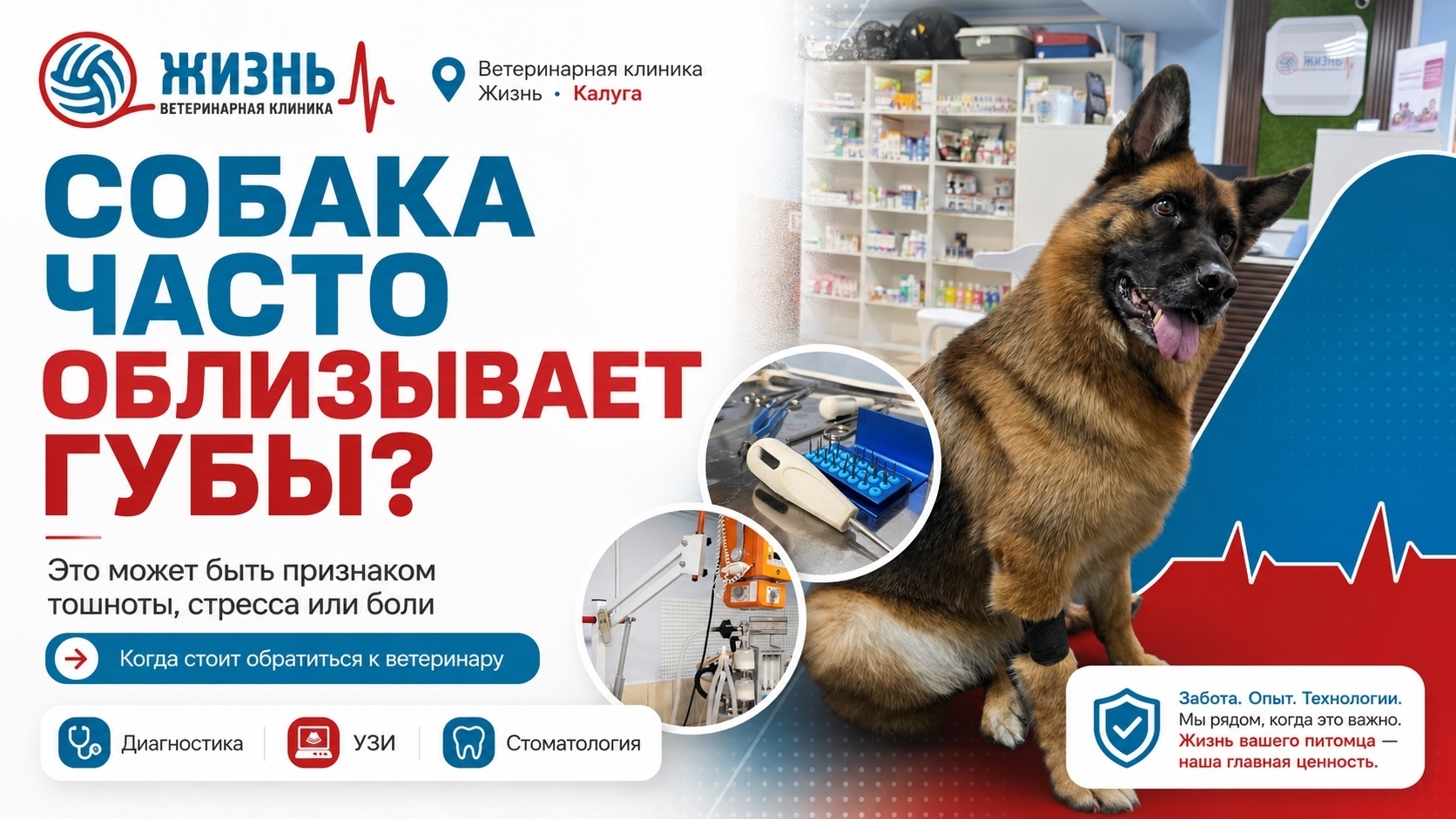 Ветеринарная клиника в Калуге Жизнь.