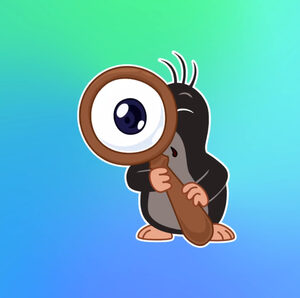 website icon