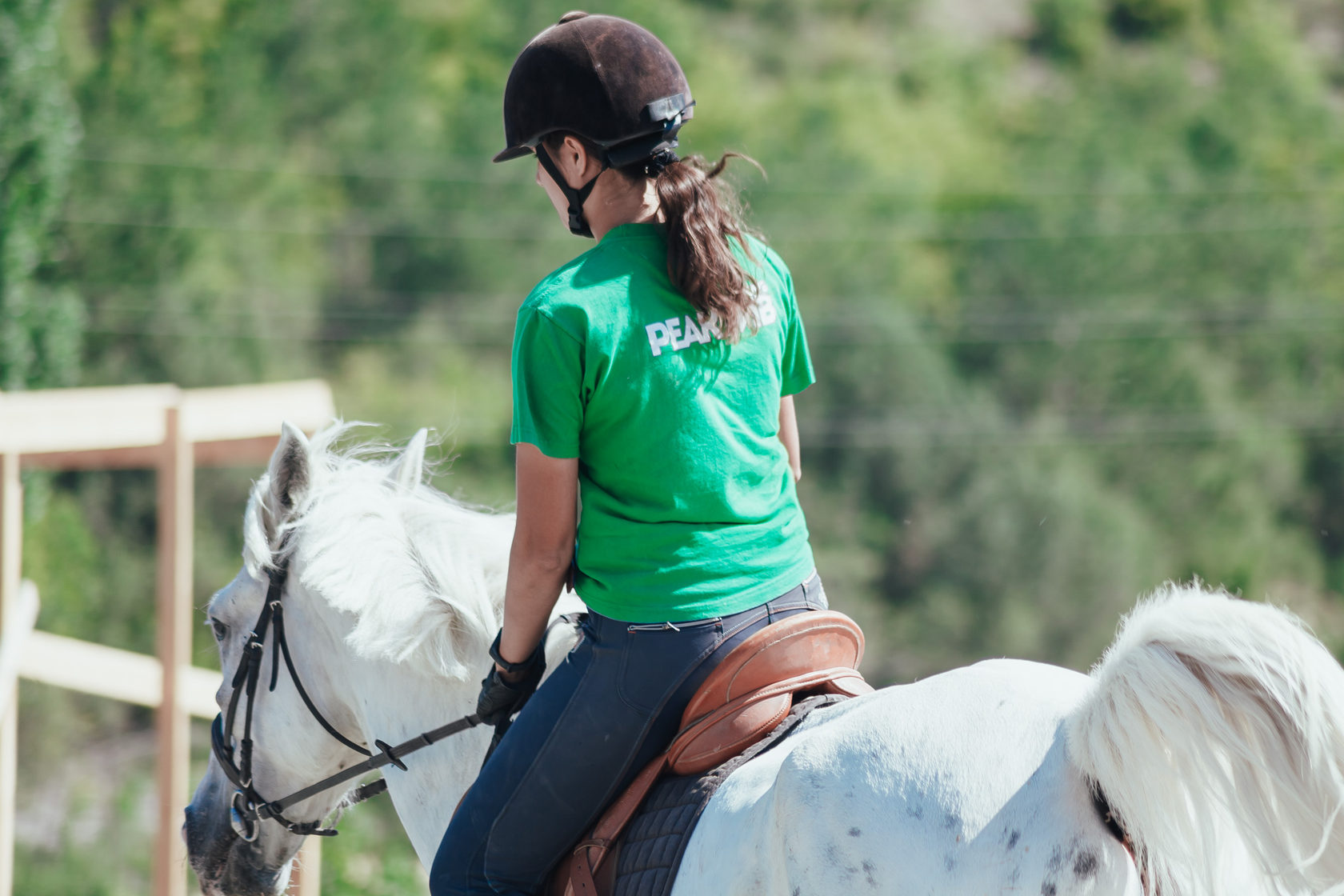 Можно ли заниматься конным спортом. Покататься на лошадях в Великом Новгороде. Техен занимается верховой ездой. Прокатиться на лошадях в Чебоксарах. Катание на лошадях Пенза Спутник.