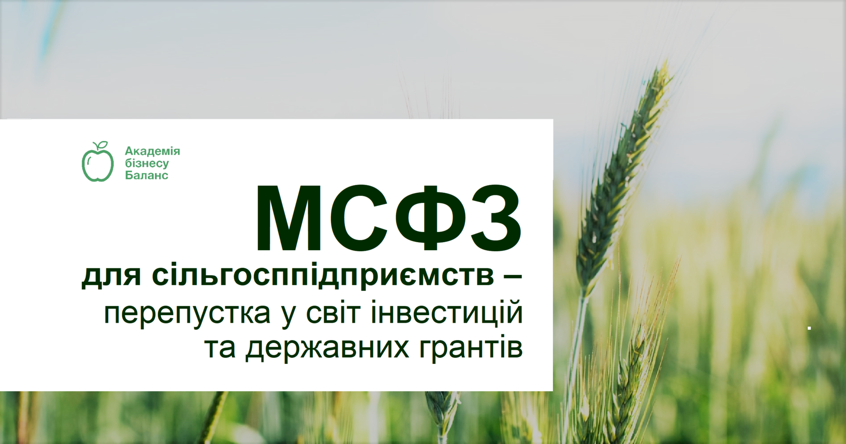 МСФЗ БАЗОВИЙ від Академії бізнесу Баланс