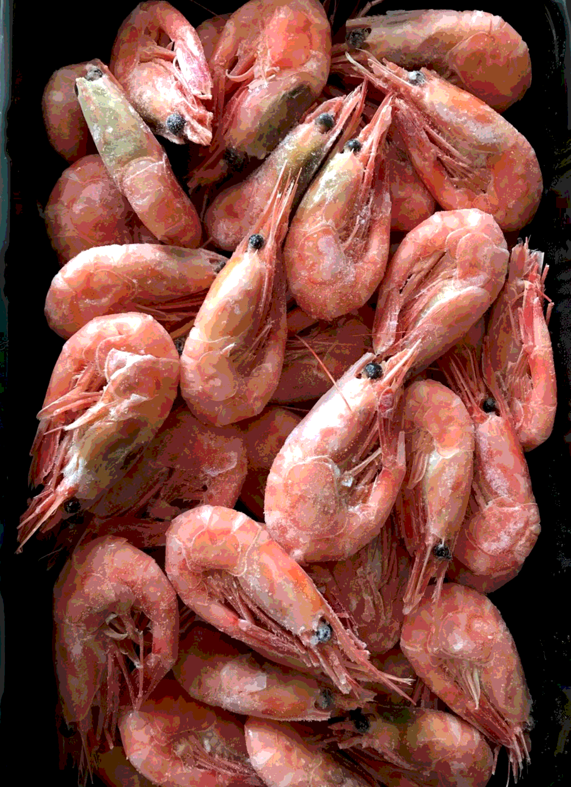 креветка 90-120