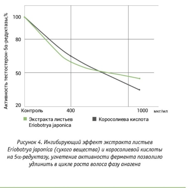 Рисунок 4. Ингибирующий эффект экстракта листьев Eriobotrya japonica