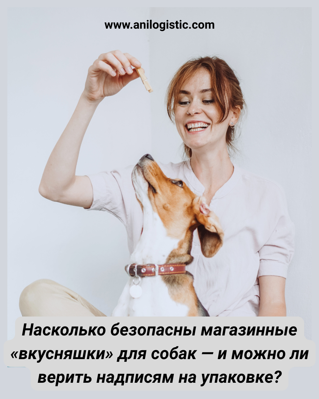 Натуральные жевательные лакомства для собак — результаты независимого тестирования в Германии, выявившие проблемы с безопасностью и маркировкой