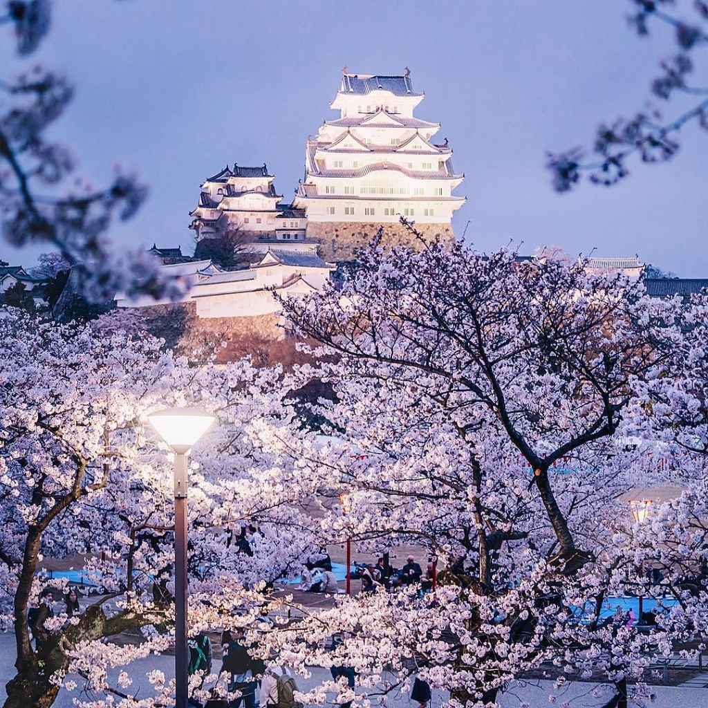 Замок Химедзи Япония зима