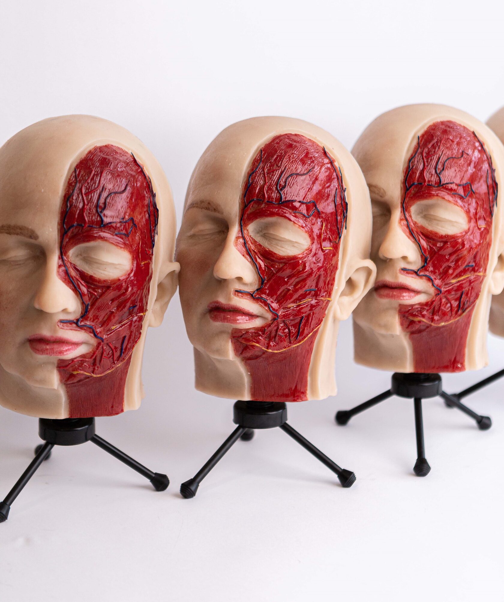 INTERCHARM Professional, SiliconeSkin, маникены, косметология, Intercharm professional