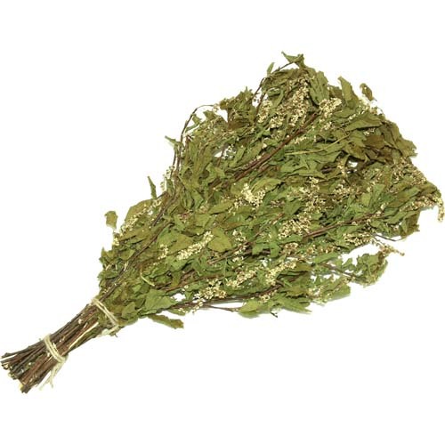 Черёмуховый веник: нежный аромат и польза