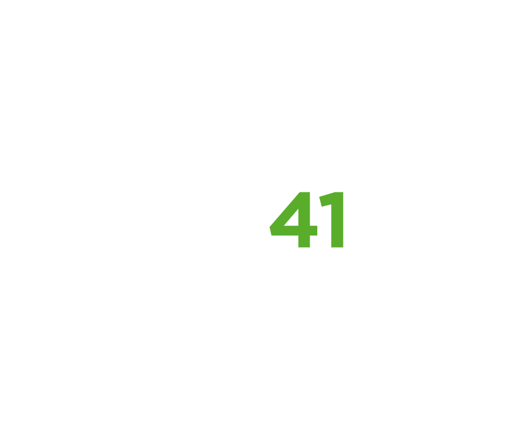 DS41