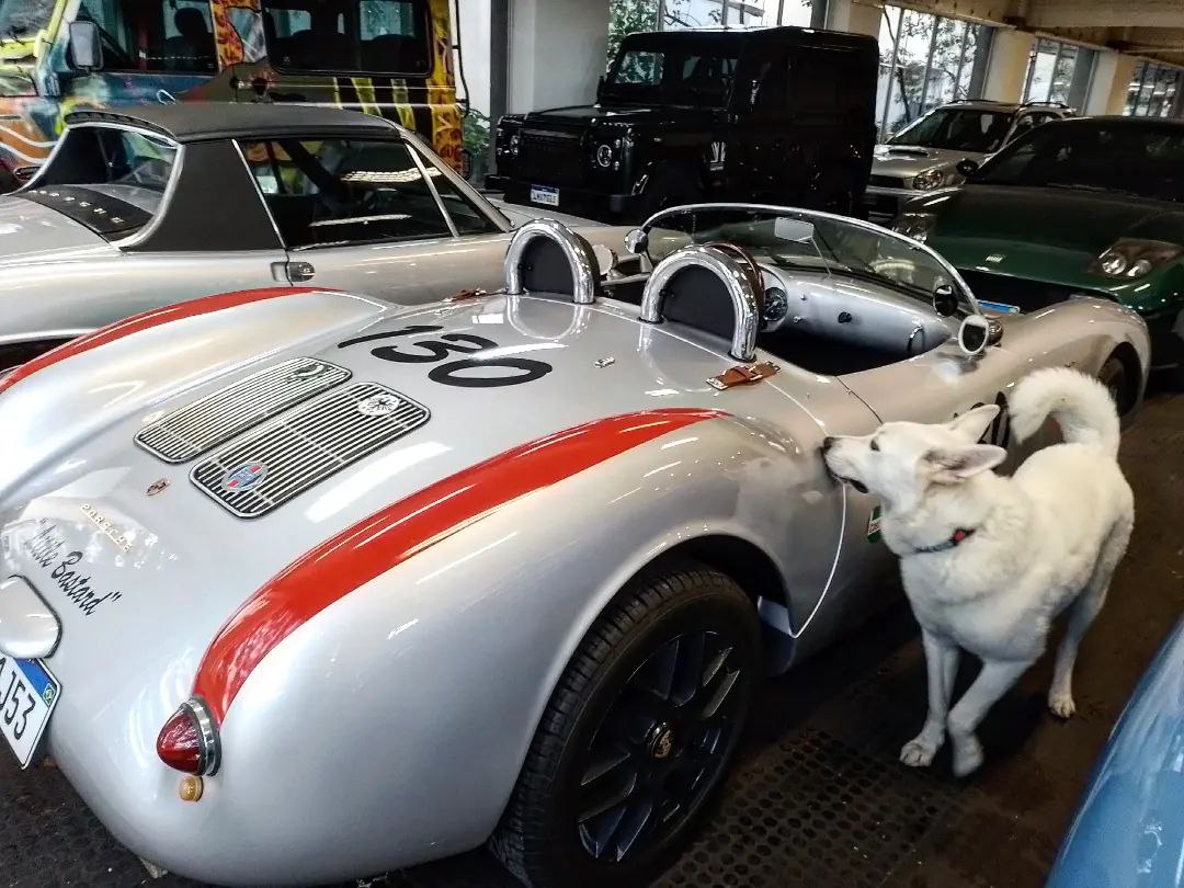 porsche 550 spyder replica