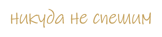 никуда_не_спешил