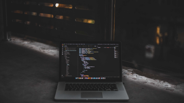 web developer