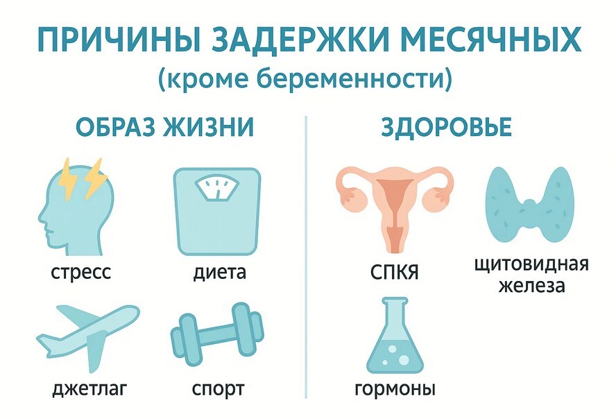 Инфографика: причины задержки месячных при отрицательном тесте
