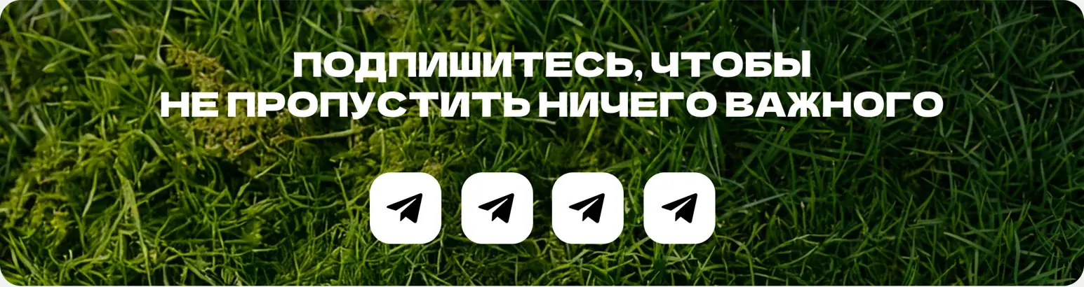 Подпишитесь, чтобы не пропустить ничего важного