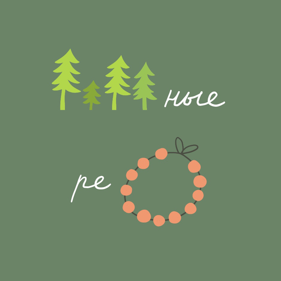 Ребусы. Удивительные деревья