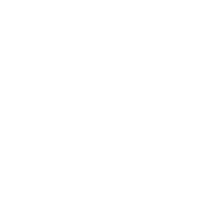 логотип мотоциклов bimota