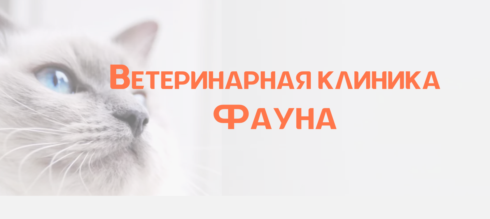 Ветеринарная клиника Фауна | Тверь