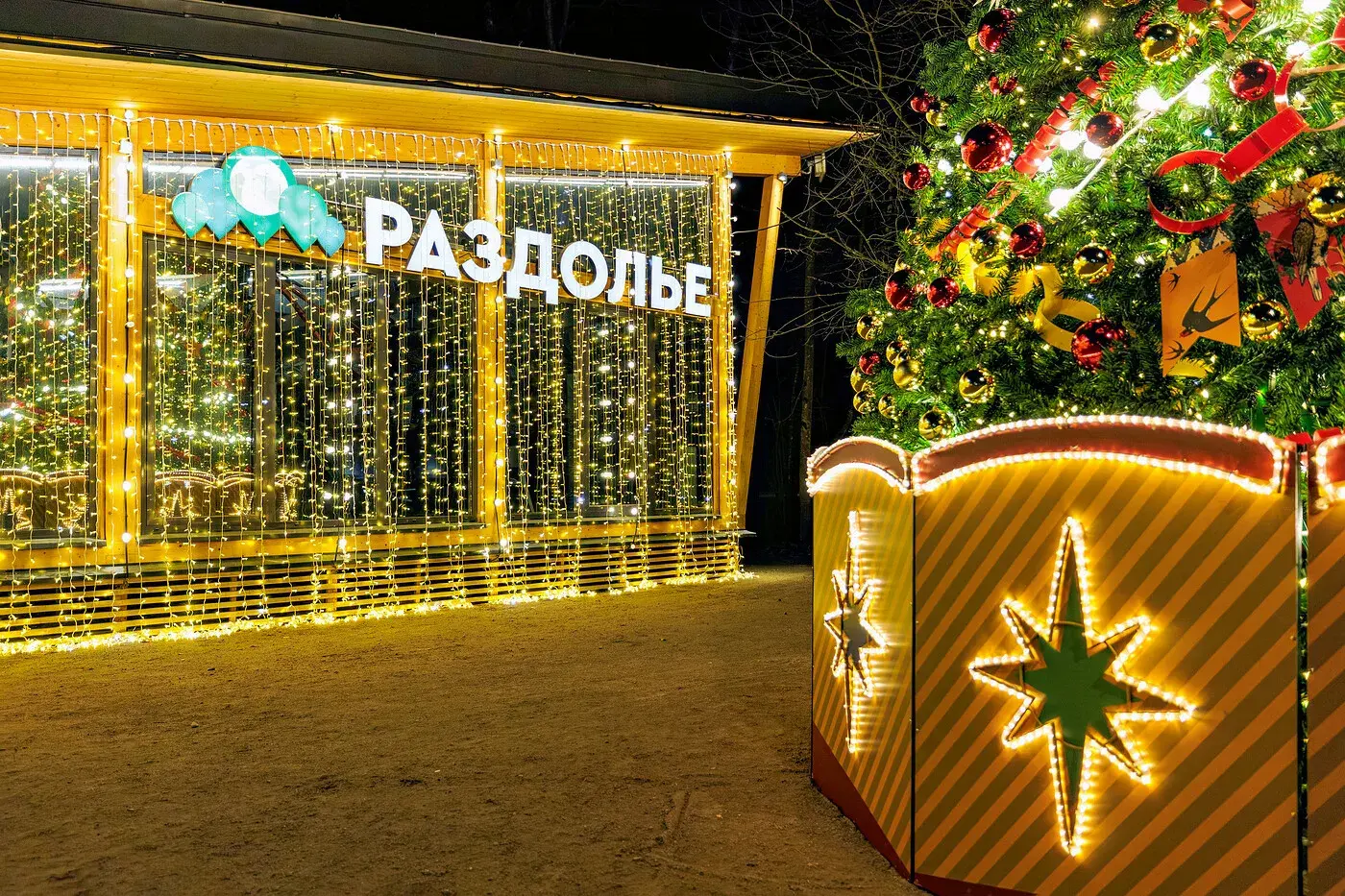 Вечерние огни и праздничная ёлка в парке «Раздолье»