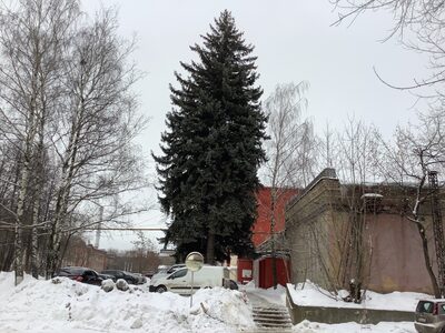 Производитель автоковролина