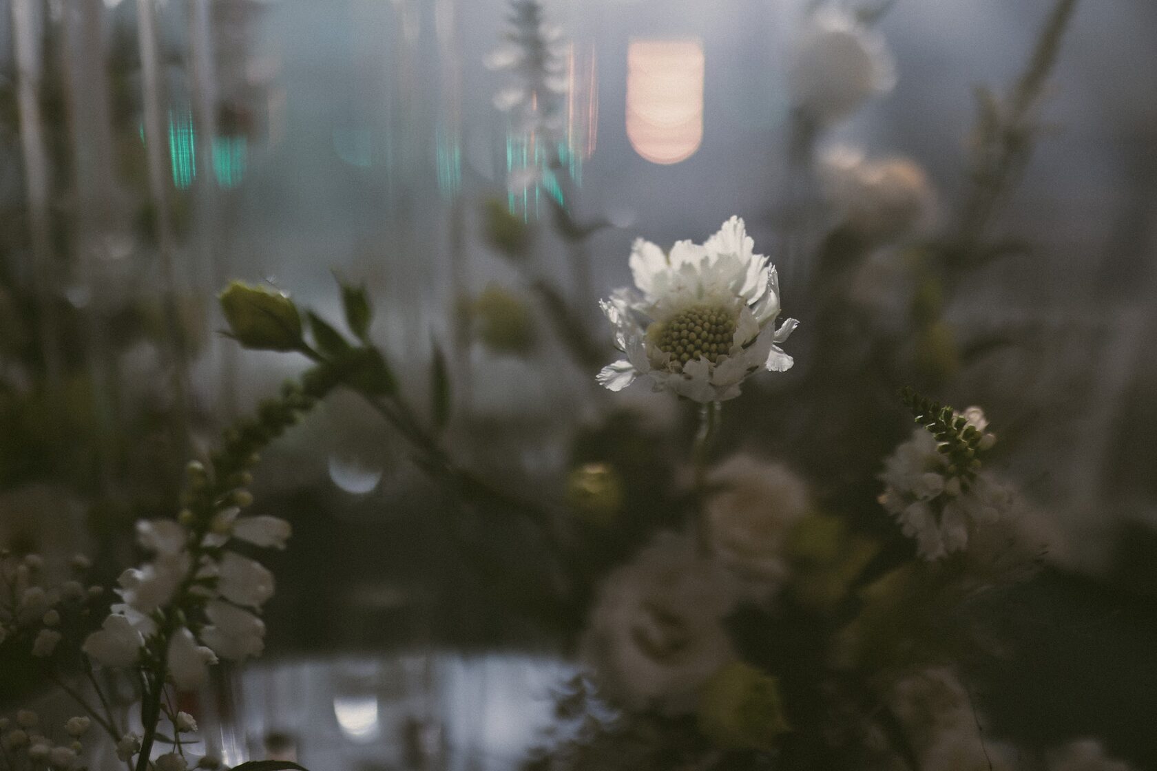 Neponaroshky-wedding-svadba-krym