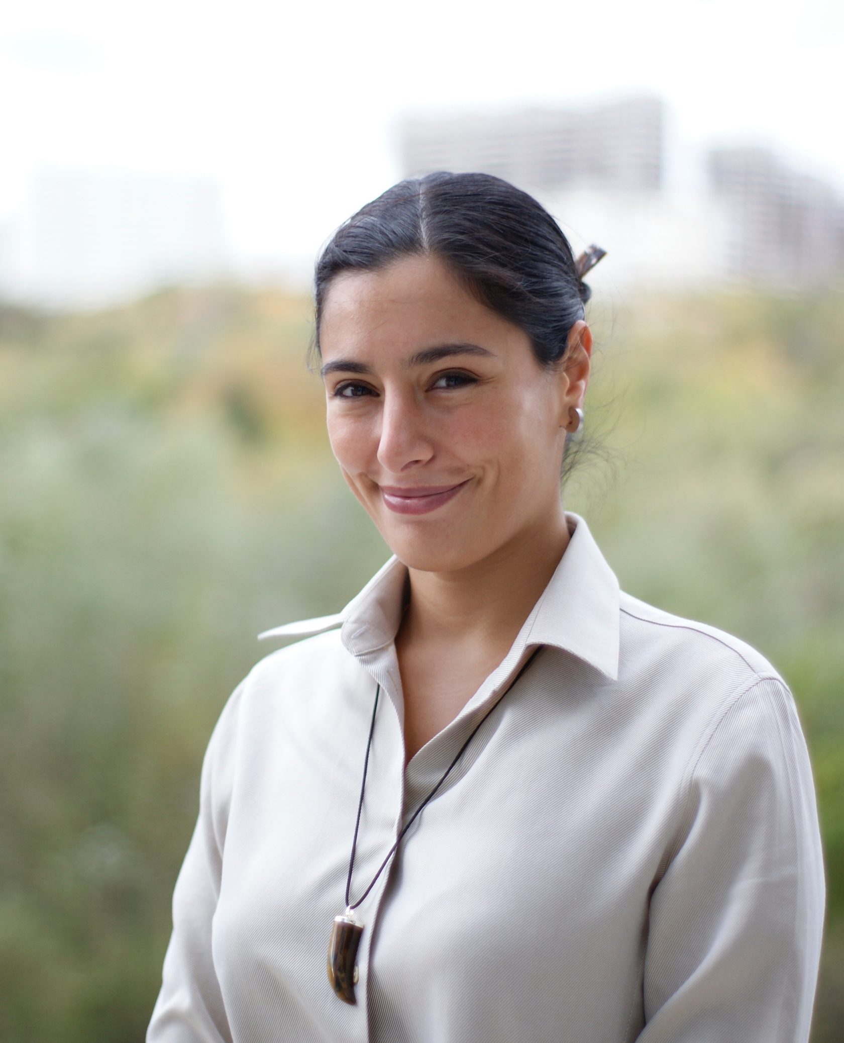 Д овод ы в пользу Монтессори (видео)