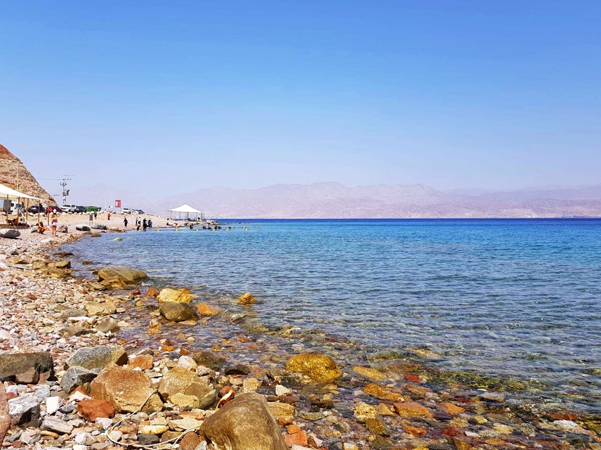 Красное море, Эйлат. Блог Вкусный Израиль.
