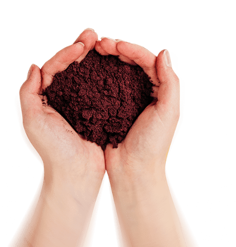 ягодная мука в руках