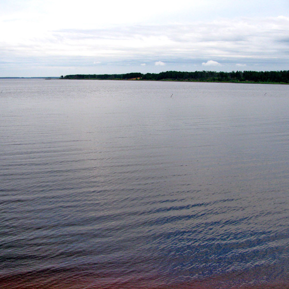 Рыбинское водохранилище фото пляжи