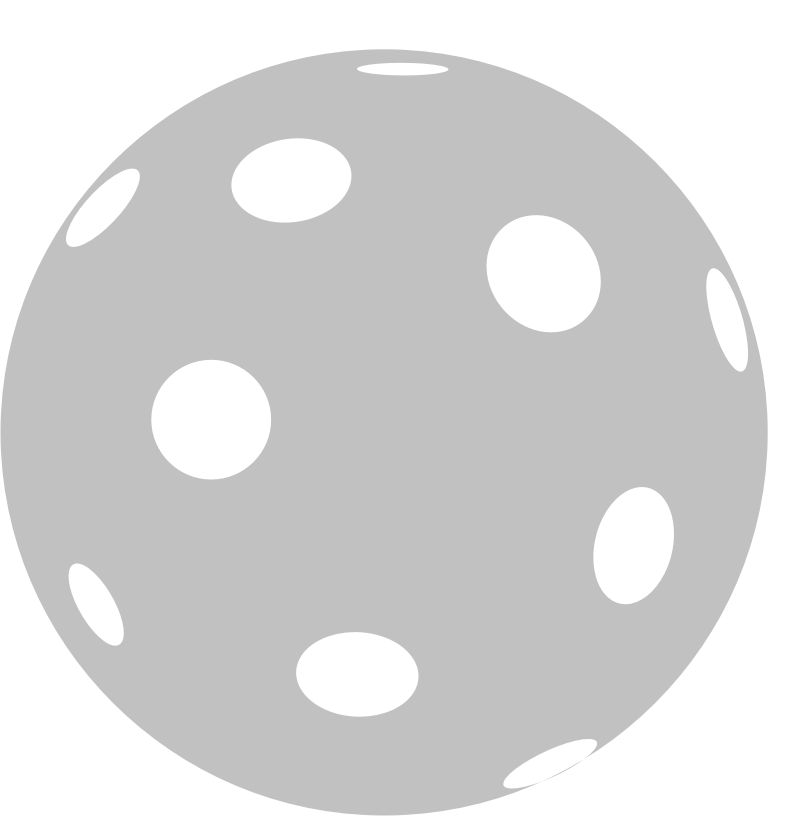 мяч для флорбола