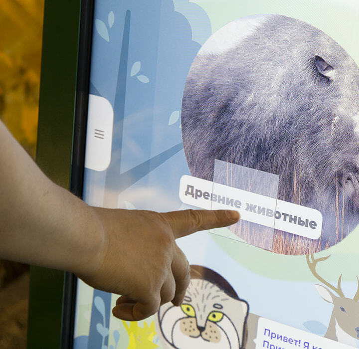 Экран с информацией о животных и растениях